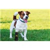 Medipaw Soft Bandage Boot X Small 6&quot; Yellow (Formerly Basic Boot)