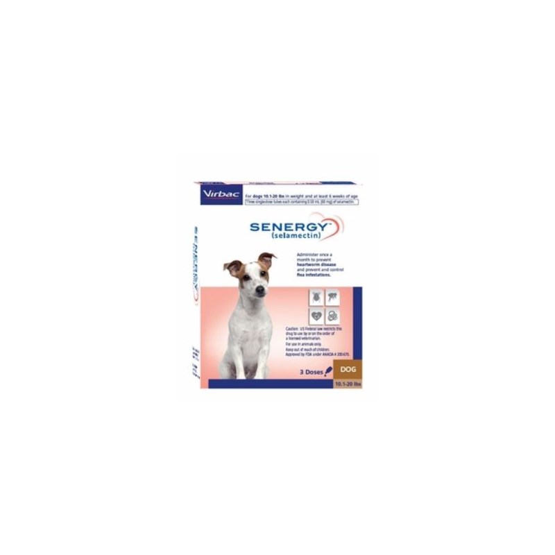 Senergy Dog 10.1-20lbs SINGLE CARD 3ds/card