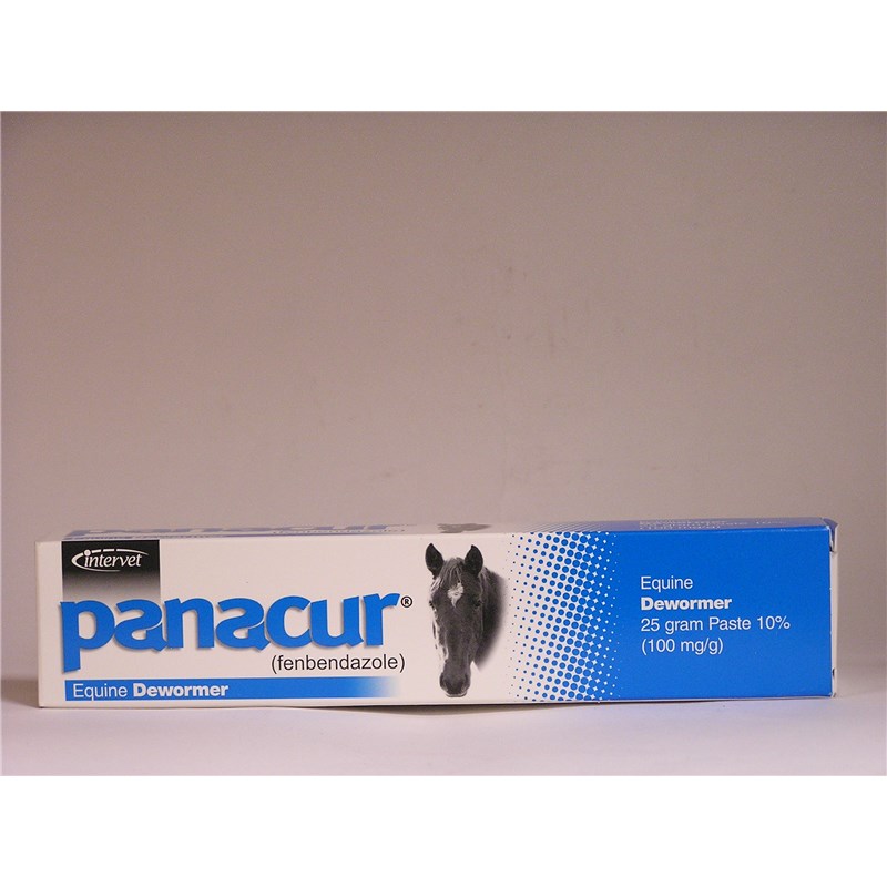 Panacur Equine Paste 25Gmx1ds