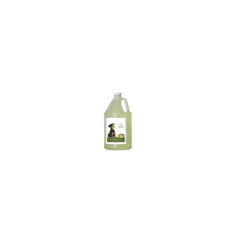 HydroSurge Odor Removing Citrus Mint Shampoo Gallon