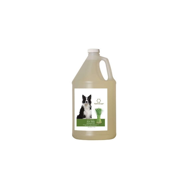 Hydrosurge Tea Tree Shampoo Gallon