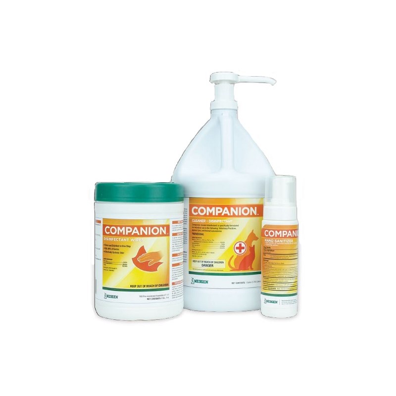 Companion Disinfectant Wipe 160ct