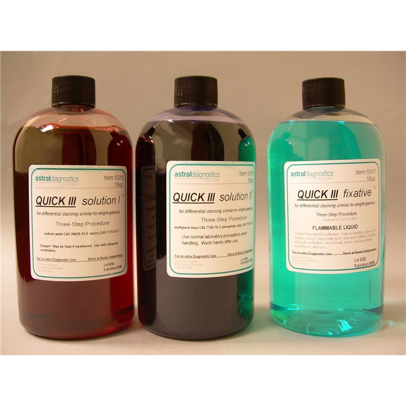 Stain Dip Kit Quick III 16oz