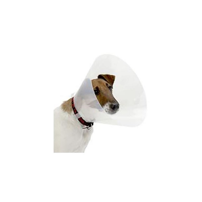 Casey Clic Collar 25cm