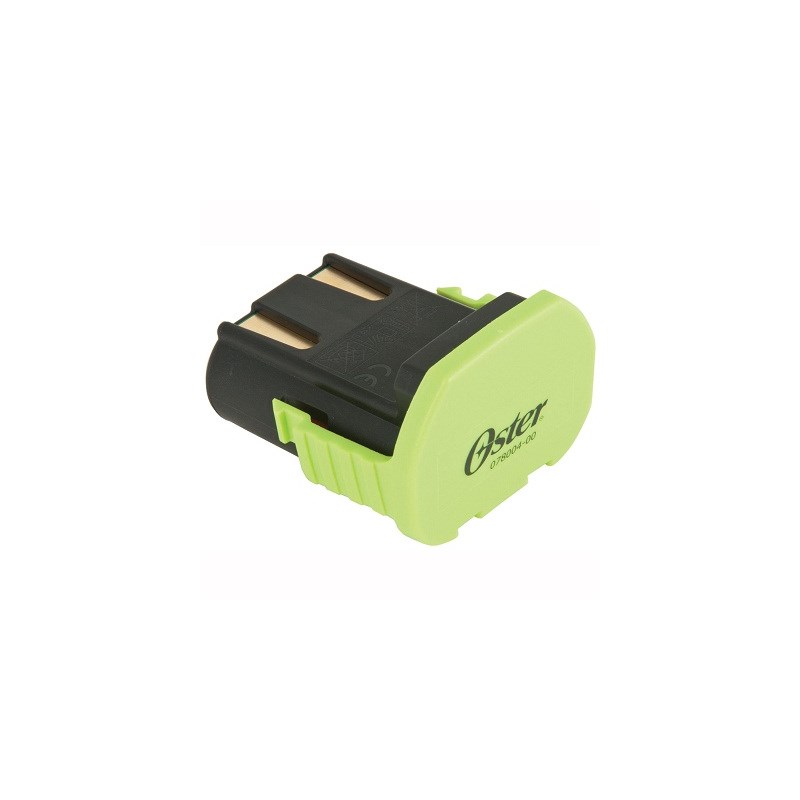Volt Lithium Ion Battery