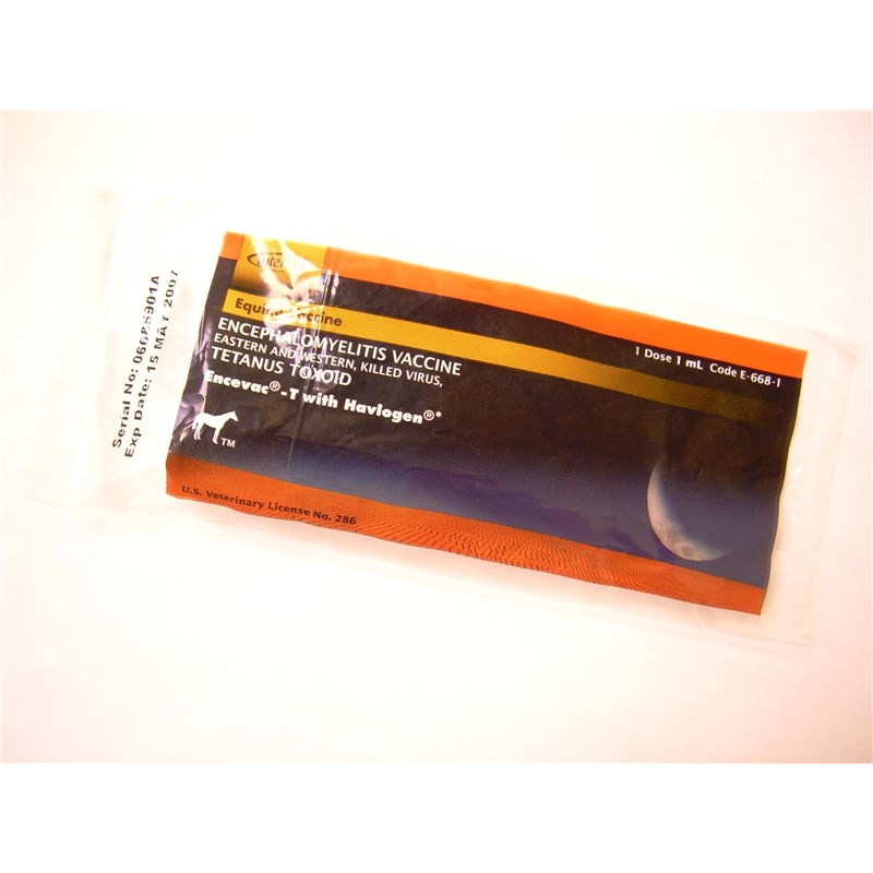 Encevac T 1 Dose Syringe