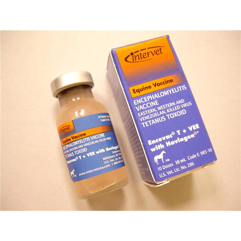 Encevac T + Vee 10ml