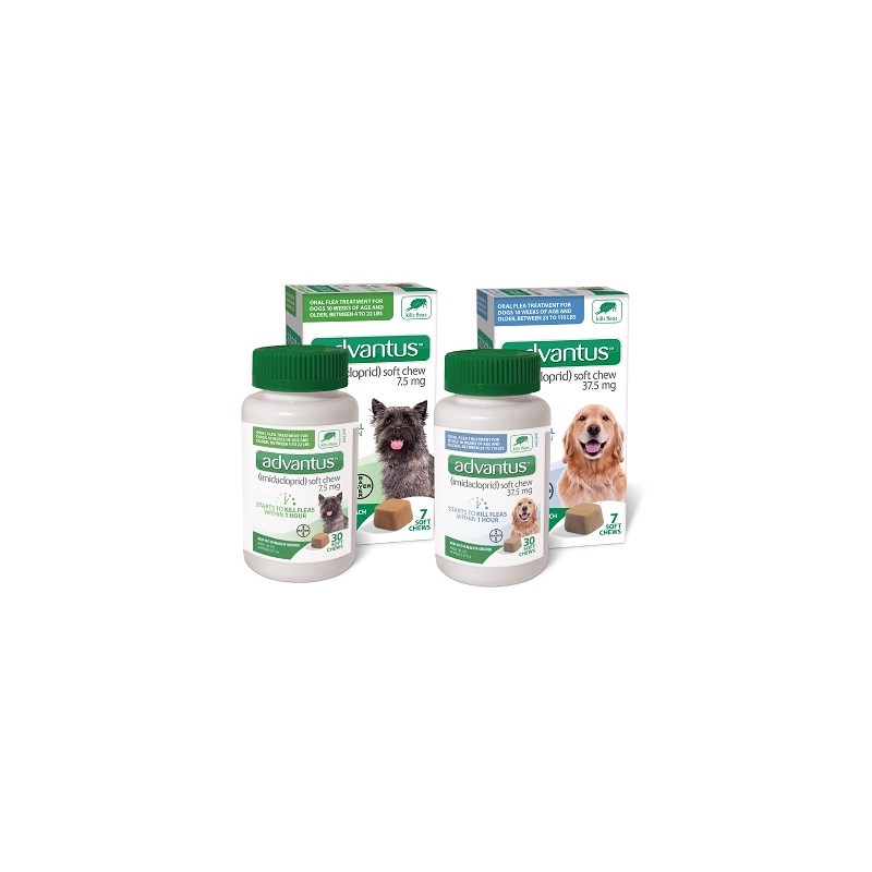 Advantus Small Dog Soft Chew 7.5mg 30ct