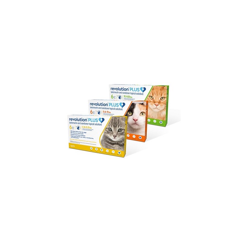 Revolution Plus Cat Green 11.1-22Lb 6ds Card (Must purchase a minimum of 5 cards)