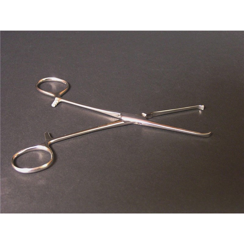 Allis Tissue Forcep 6&quot; 4X5 Economy