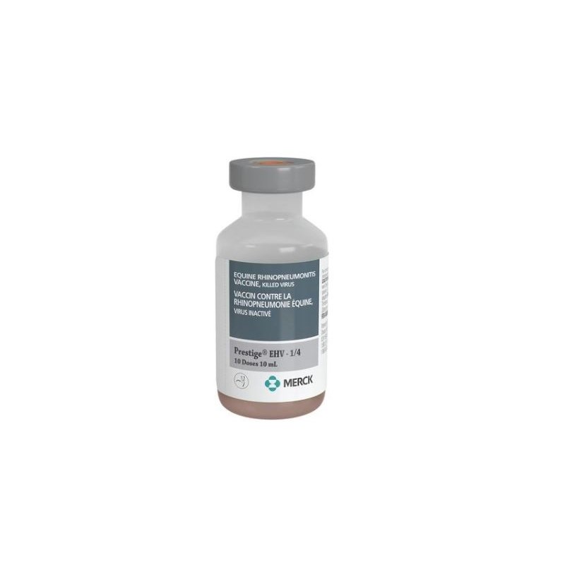 Prestige EHV 1 &amp; 4 10ml