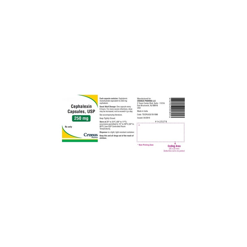 Cephalexin Caps 250mg 500ct Cronus Label
