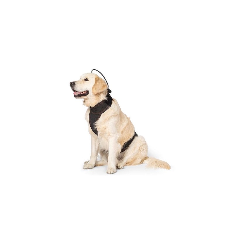 Assisi Bundle Device and Vest Large
