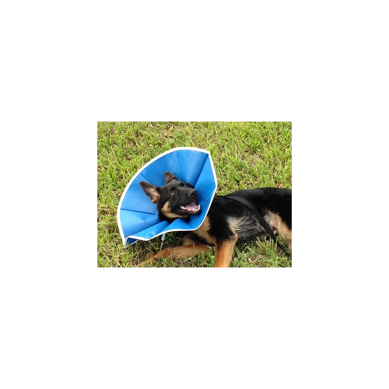 Recovery Collar Blue Cloth X-Large 12&quot;