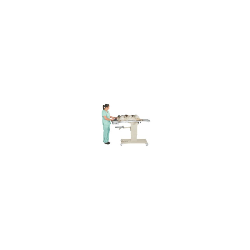 Olympic Dental Table With 1 Swivel Arm With Tray