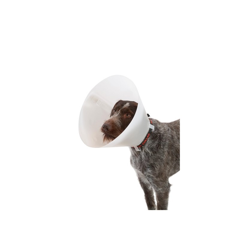 Collar Buster Classic Set of 7