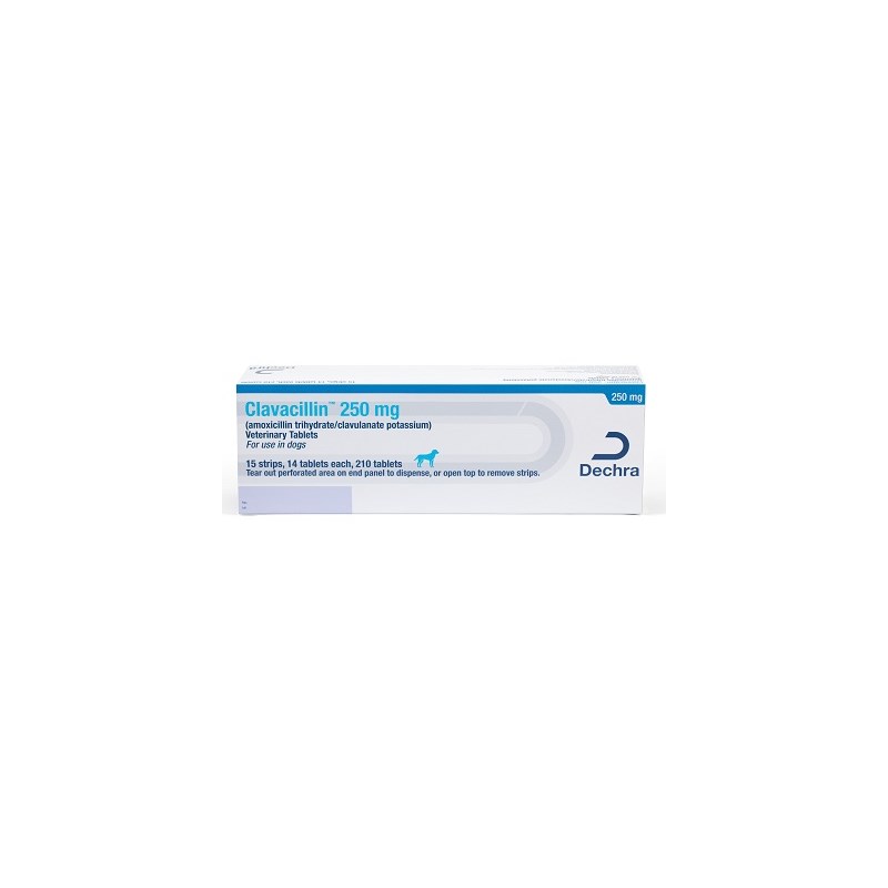 Clavacillin Tab 250mg 210ct (amoxicillin trihydrate/clavulanate potassium)