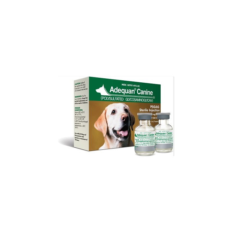 Adequan 500mg 2 x 5ml