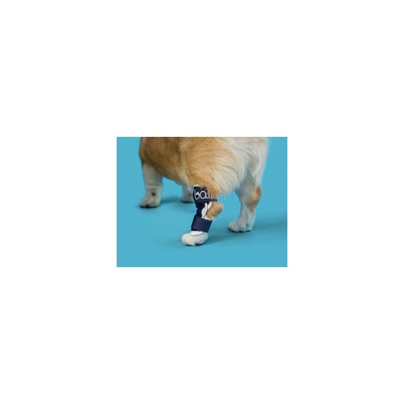 Balto Hock Brace Large
