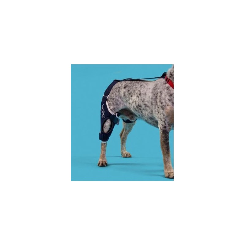 Balto Jump Knee Brace Right XX Small