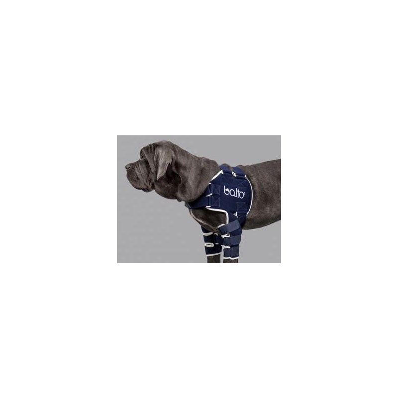 Balto Lux Shoulder Brace X Small