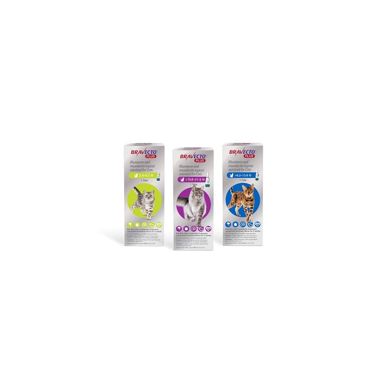 Bravecto Plus Cat Topical Purple 13.8 - 27.5lbs 500mg 1 dose/card 10 cards per box