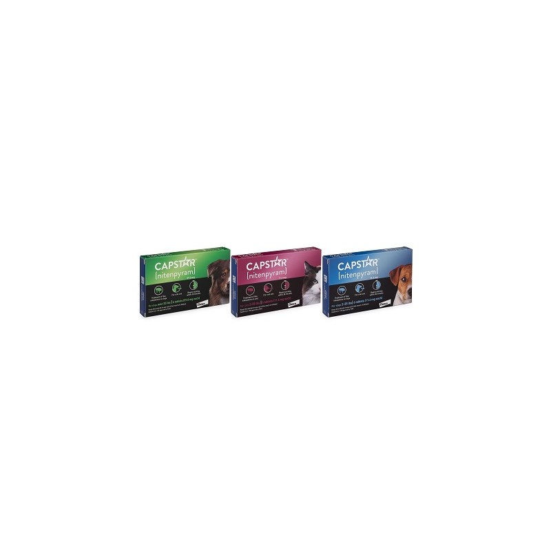 Capstar Tab Blue 2-25lb  Single Card 6 doses