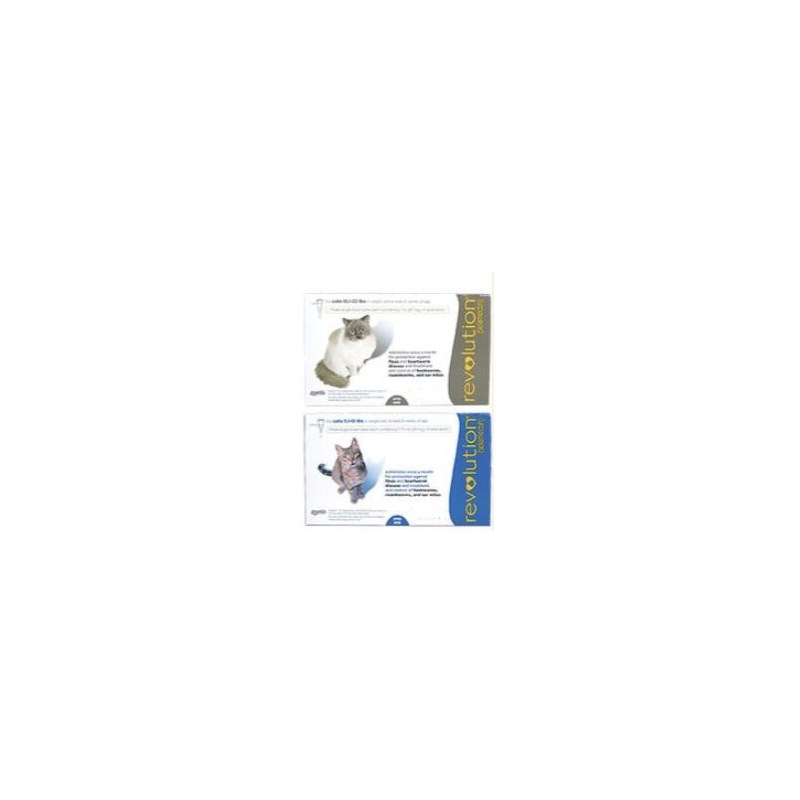 Revolution Cat 5.1-15lb 6ds Card Blue (Must purchase a minimum of 5 cards)