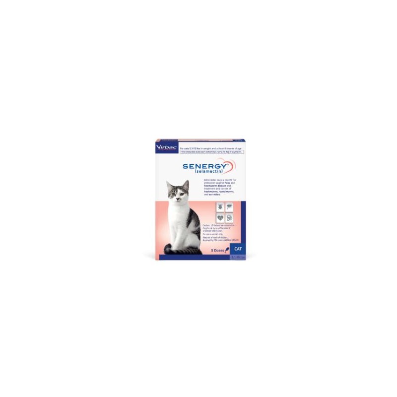Senergy Cat 5.1-15lbs 10 cards/bx 3ds Dark Blue