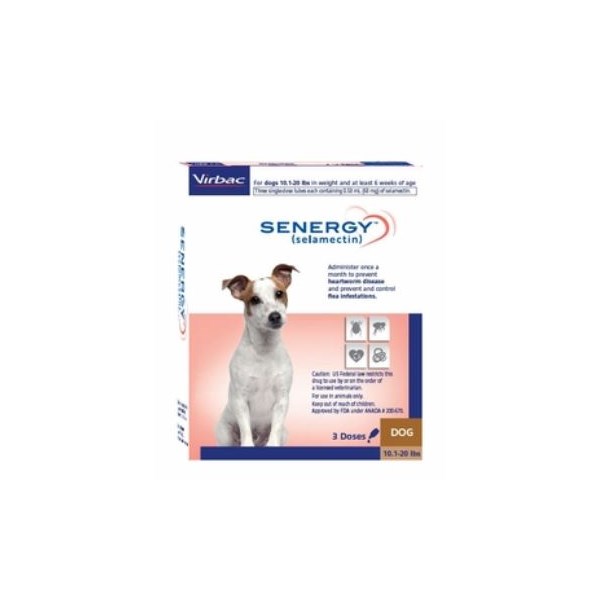 Senergy Dog 10.1-20lbs SINGLE CARD 3ds/card