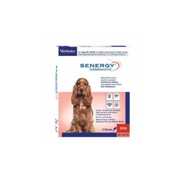 Senergy Dog 20.1-40lbs SINGLE CARD 3ds/card