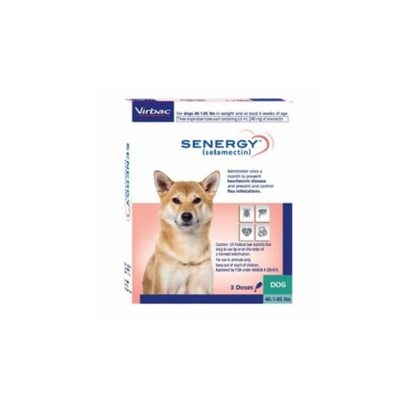 Senergy Dog 40.1-85lbs SINGLE CARD 3ds/card