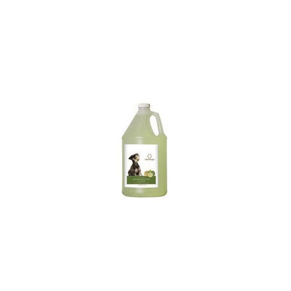 HydroSurge Odor Removing Citrus Mint Shampoo Gallon