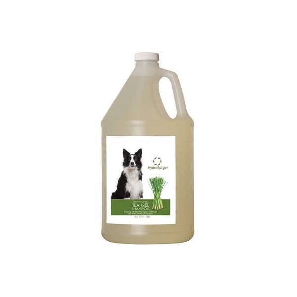 Hydrosurge Tea Tree Shampoo Gallon