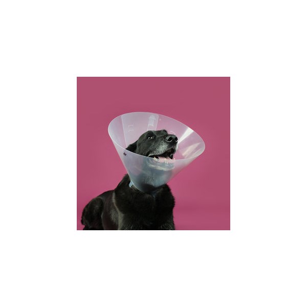 Betsy Clear Collar 15Cm