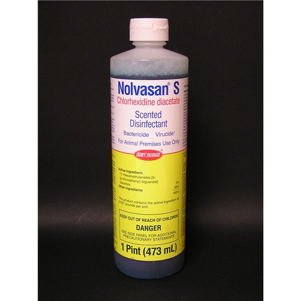Nolvasan S Disinfectant Solution 16oz