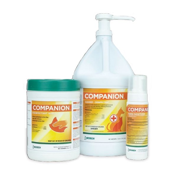 Companion Disinfectant Foaming Hand Sanitizer 7oz