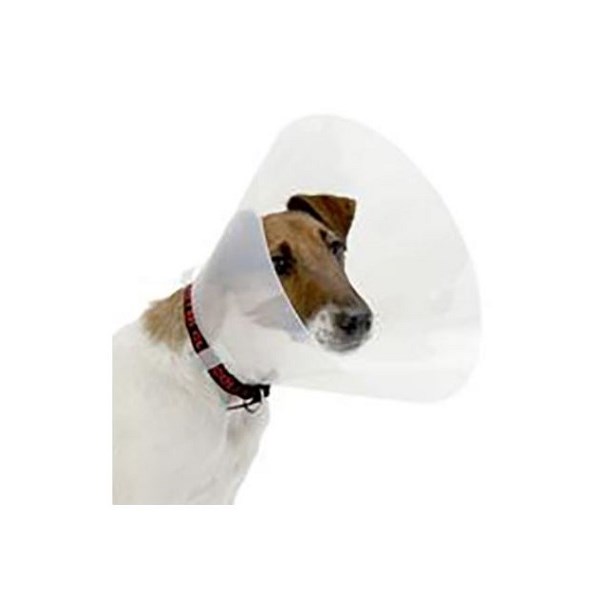 Casey Clic Collar 25cm