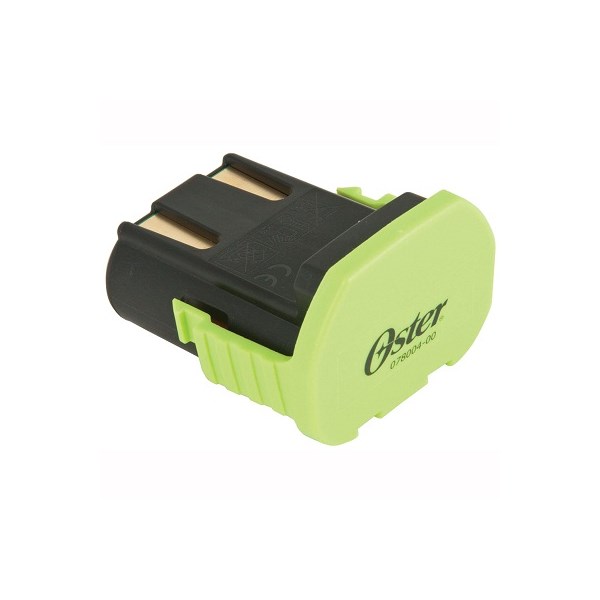 Volt Lithium Ion Battery