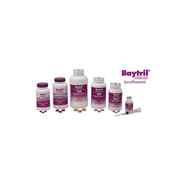 Baytril Taste Tab 22.7mg 500ct