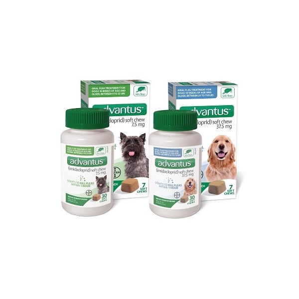 Advantus Small Dog Soft Chew 7.5mg 30ct