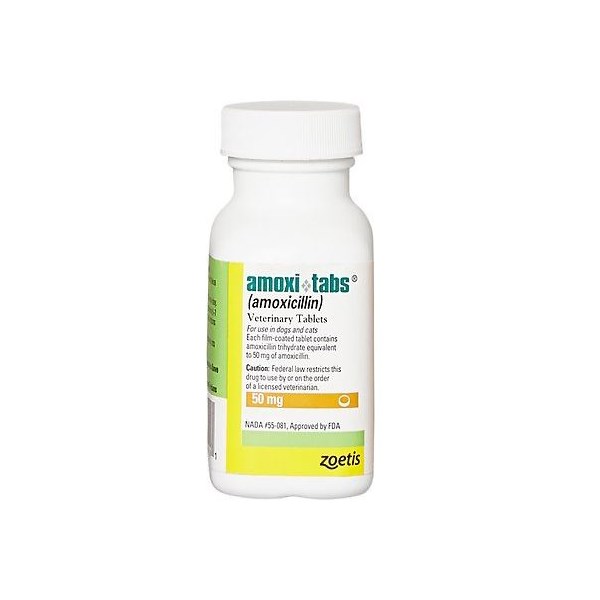 Amoxi Tabs 50mg  500ct