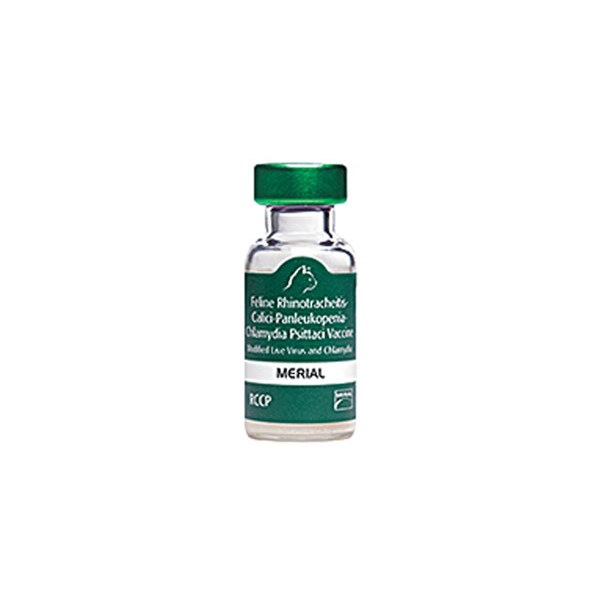 Purevax Feline 4 Rccp 25 x 1ds