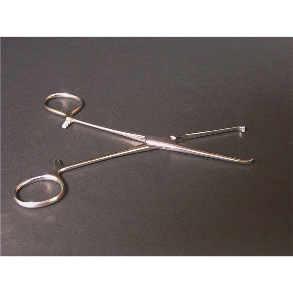 Allis Tissue Forcep 6&quot; 4X5 Economy