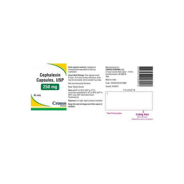 Cephalexin Caps 250mg 500ct Cronus Label
