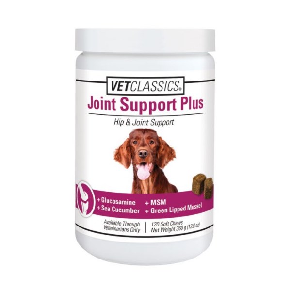 Joint Support Plus Soft Chews 120ct