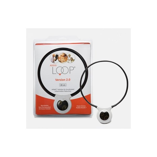 Assisi Loop 2.0 20cm Manual