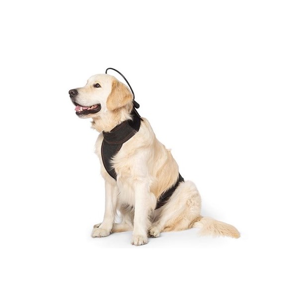 Assisi Bundle Device and Vest X Large