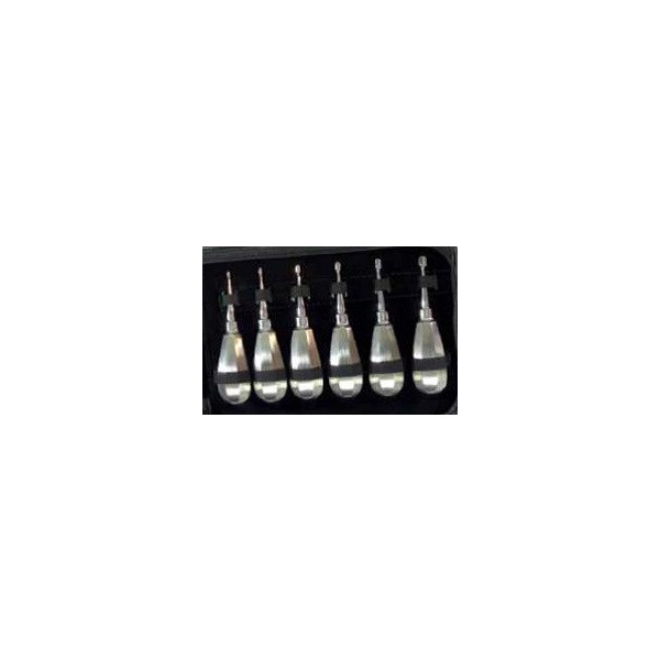 6 Piece Winged Elevator Set 1-6mm