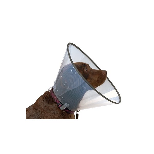 Buster Comfort Collar  Set of 7